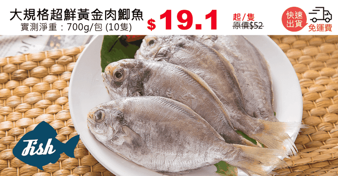大規格超鮮黃金肉鯽魚