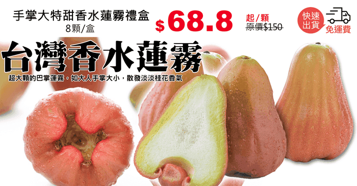 手掌大特甜香水蓮霧禮盒