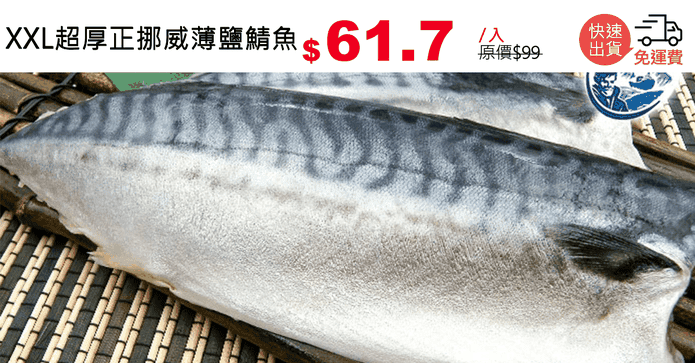 XXL超厚正挪威薄鹽鯖魚