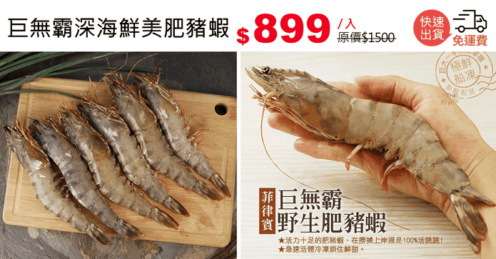 巨無霸深海鮮美肥豬蝦