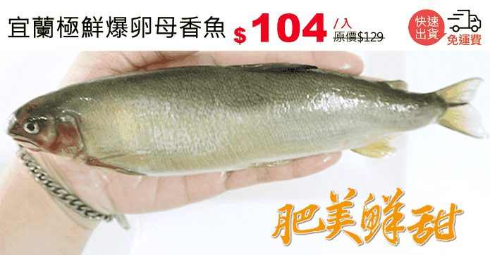 宜蘭極鮮爆卵母香魚