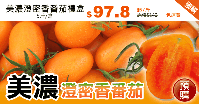 美濃澄密香番茄禮盒