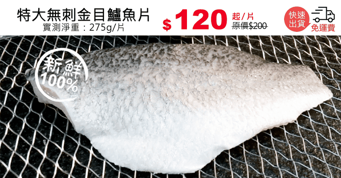 特大無刺金目鱸魚片