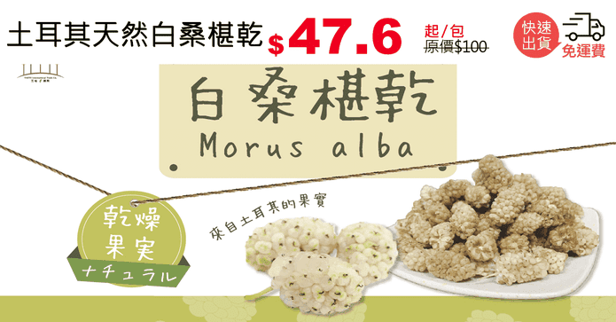 土耳其天然白桑椹乾