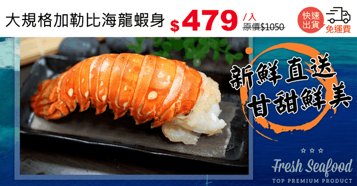 大規格加勒比海龍蝦身