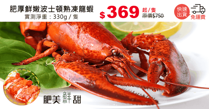 肥厚鮮嫩波士頓熟凍龍蝦