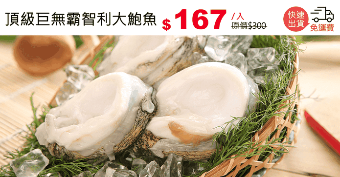 頂級巨無霸智利大鮑魚