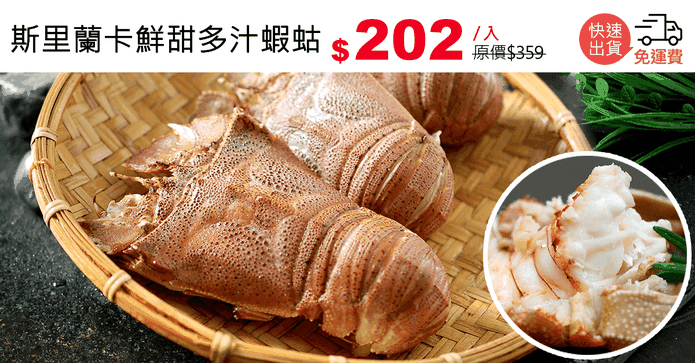 斯里蘭卡鮮甜多汁蝦蛄