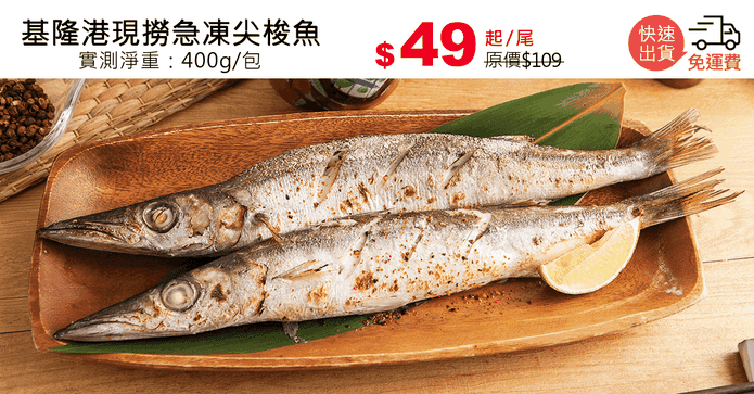 基隆港現撈急凍尖梭魚