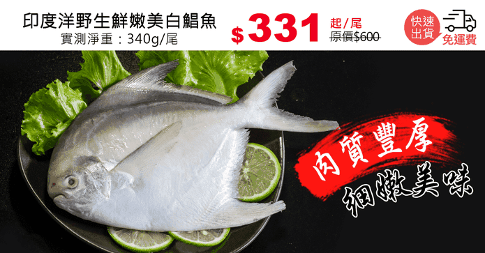 印度洋野生鮮嫩美白鯧魚