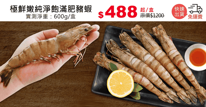 極鮮嫩純淨飽滿肥豬蝦