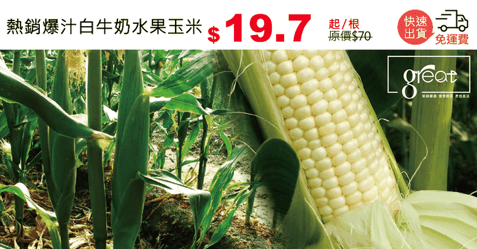 熱銷爆汁白牛奶水果玉米