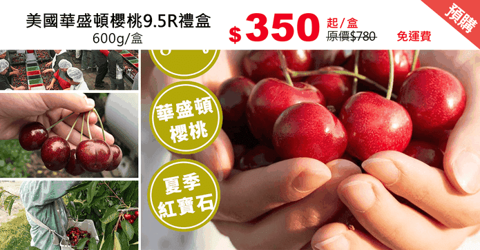 美國華盛頓櫻桃9.5R禮盒