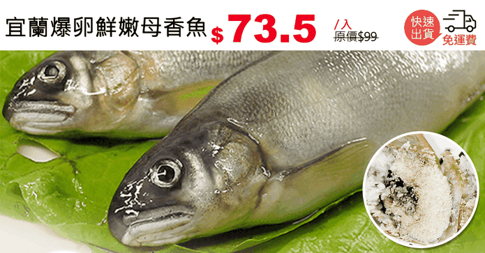 宜蘭爆卵鮮嫩母香魚
