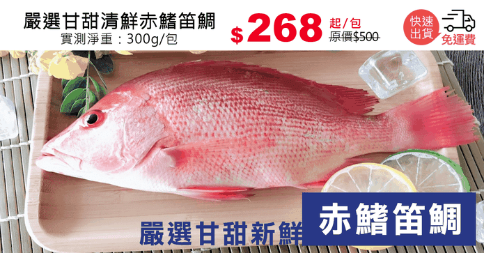 嚴選甘甜清鮮赤鰭笛鯛