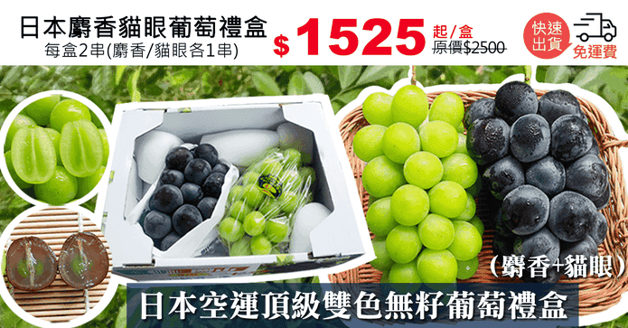 日本麝香貓眼葡萄禮盒