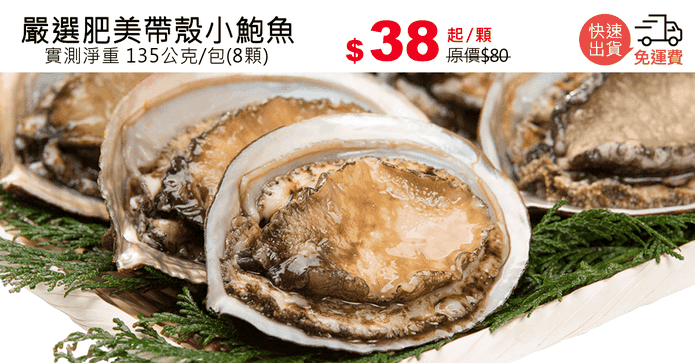 嚴選肥美帶殼小鮑魚