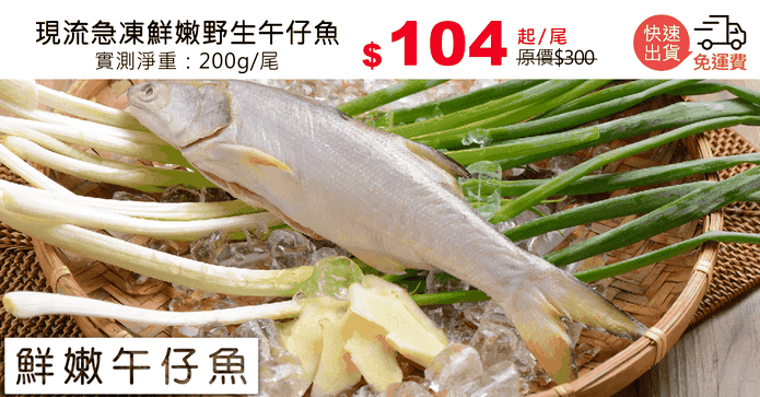 現流急凍鮮嫩野生午仔魚