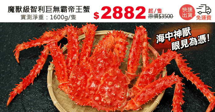 魔獸級智利巨無霸帝王蟹