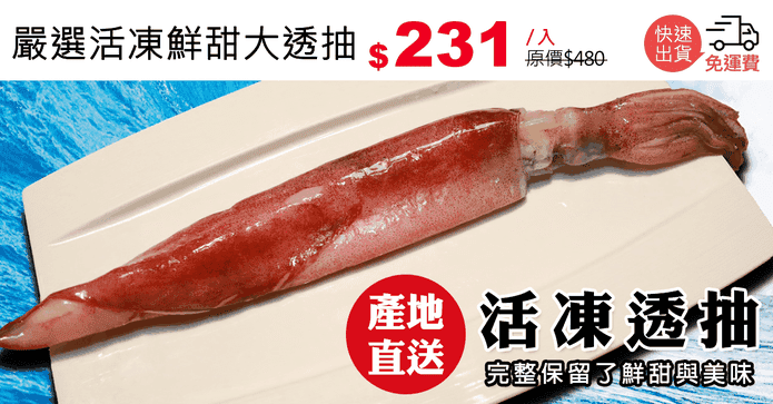 嚴選活凍鮮甜大透抽