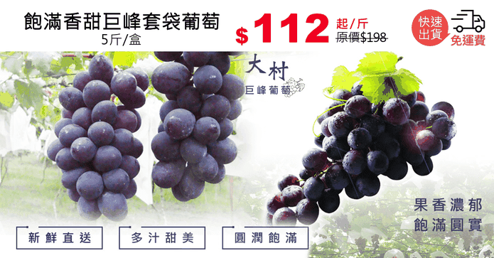 飽滿香甜巨峰套袋葡萄