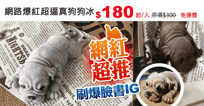 網路爆紅超逼真狗狗冰