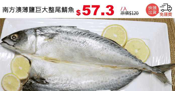 南方澳薄鹽巨大整尾鯖魚