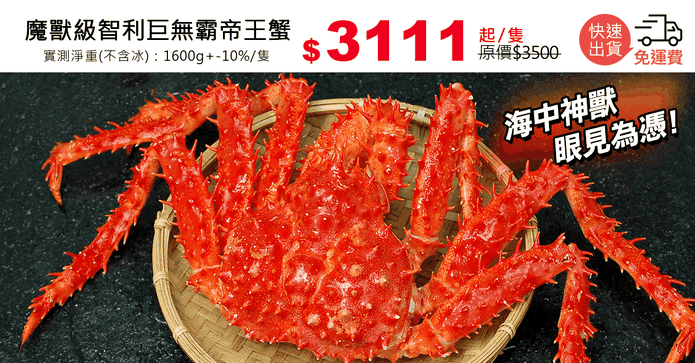 魔獸級智利巨無霸帝王蟹