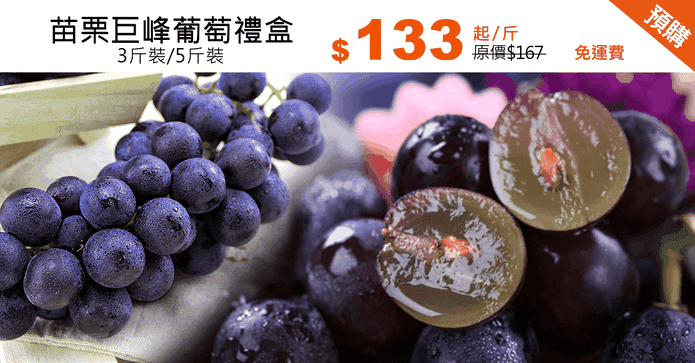 苗栗巨峰葡萄禮盒
