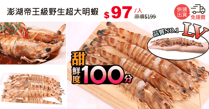 澎湖帝王級野生超大明蝦