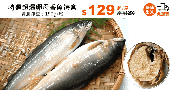 特選超爆卵母香魚禮盒