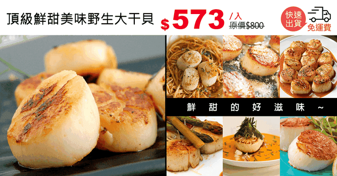 頂級鮮甜美味野生大干貝