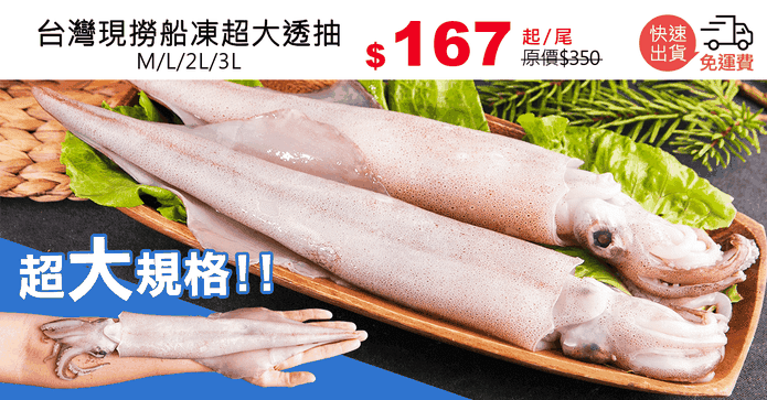 台灣現撈船凍超大透抽