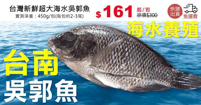 台灣新鮮超大海水吳郭魚