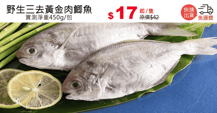 野生三去黃金肉鯽魚