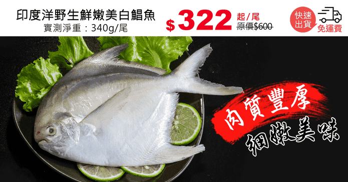 印度洋野生鮮嫩美白鯧魚