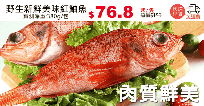 野生新鮮美味紅鮋魚