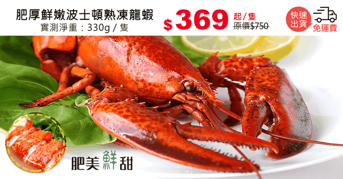 肥厚鮮嫩波士頓熟凍龍蝦