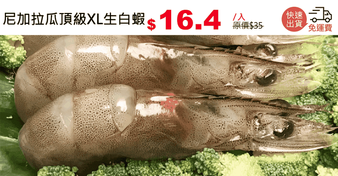 尼加拉瓜頂級XL生白蝦