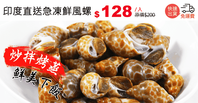 印度直送急凍鮮風螺