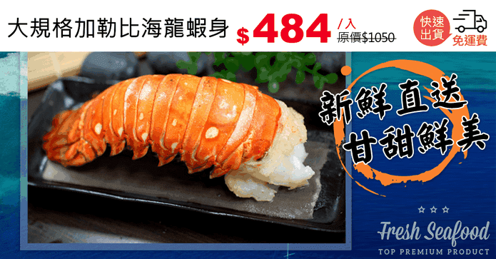 大規格加勒比海龍蝦身