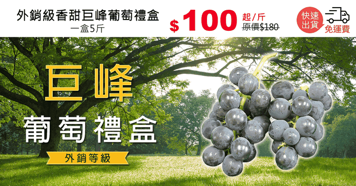 外銷級香甜巨峰葡萄禮盒