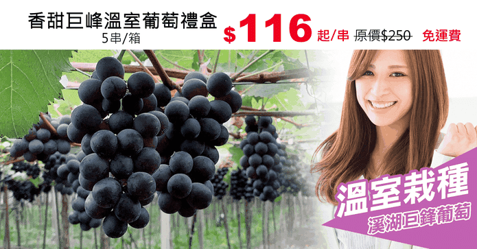 香甜巨峰溫室葡萄禮盒