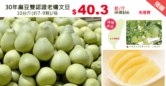 30年麻豆雙認證老欉文旦
