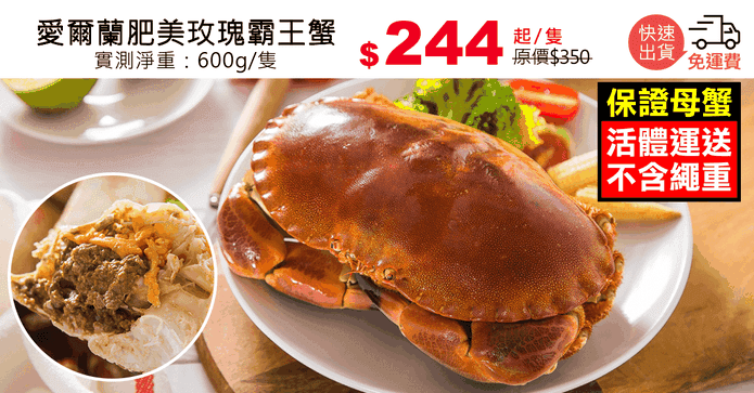 愛爾蘭肥美玫瑰霸王蟹