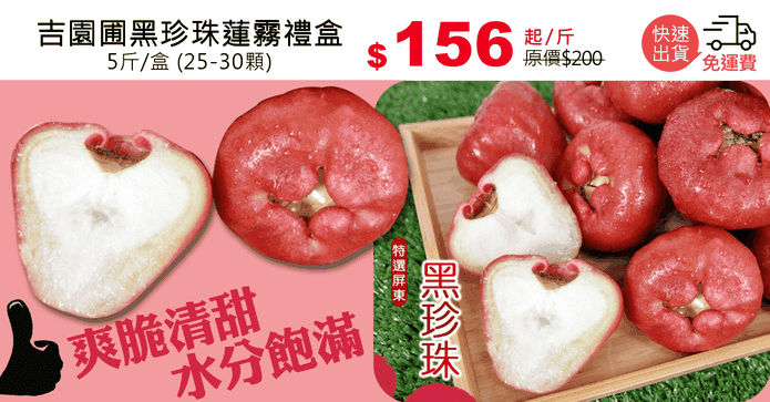 吉園圃黑珍珠蓮霧禮盒
