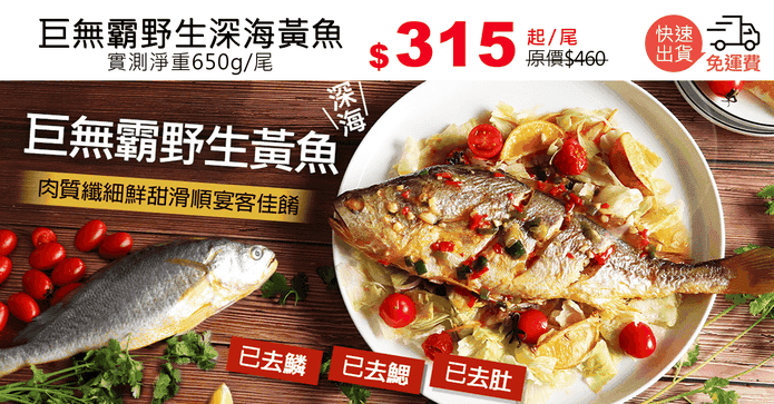 巨無霸野生深海黃魚