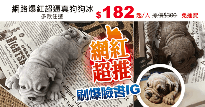 網路爆紅超逼真狗狗冰