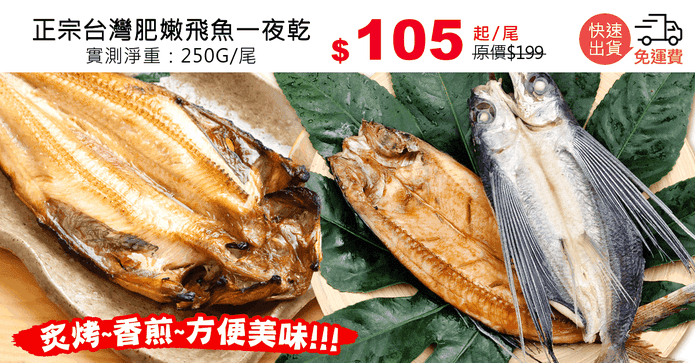 正宗台灣肥嫩飛魚一夜乾