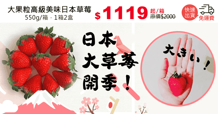 大果粒高級美味日本草莓
